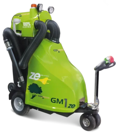 GM1ze