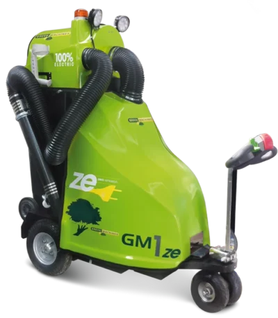 GM1ze